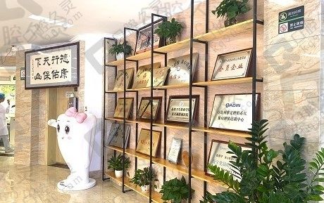 医院荣誉展览区