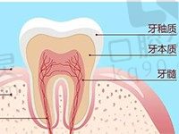 牙釉质损伤了还能自愈吗？有没有啥办法能促进牙釉质再生？