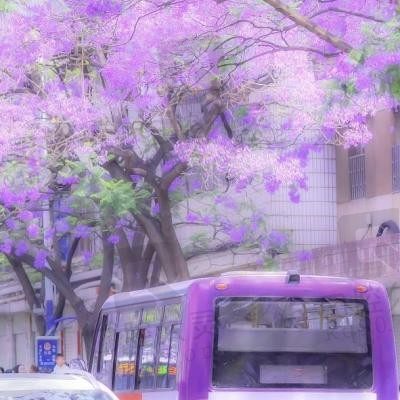 江南烟雨