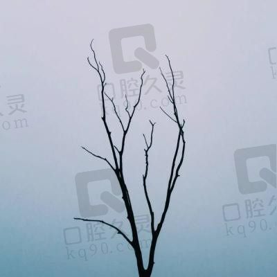苍茫大地