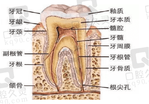 重庆江北区口腔医院有哪些?收藏好这十家看牙口碑好的医院名单