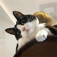半床落月
