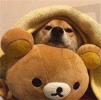 郁郁何洛洛
