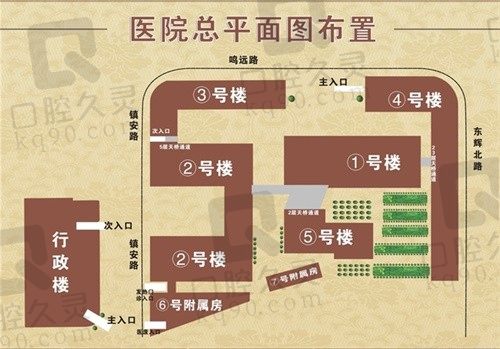 温岭市中医院平面图