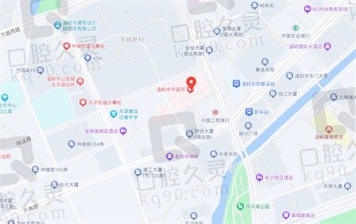 温岭市中医院地址