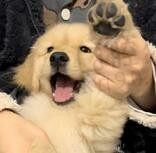 晚街
