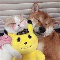 牛牛不怕困难