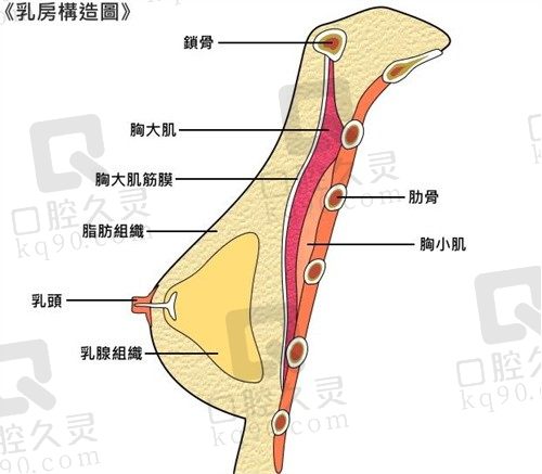 重庆刘正茂隆胸技术怎么样?内窥镜双平面隆胸创伤小恢复快