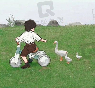 星河灿烂 