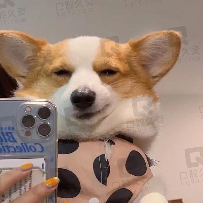 姬无命