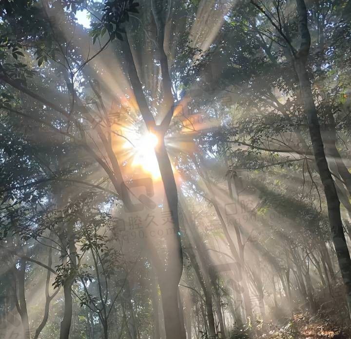 繁星闪闪