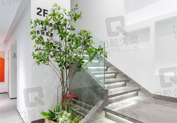 贵阳观山湖橙恩口腔门诊部楼梯