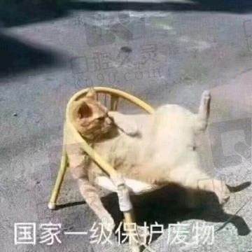 螺狮粉配榴莲