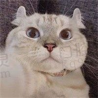 罗非鱼
