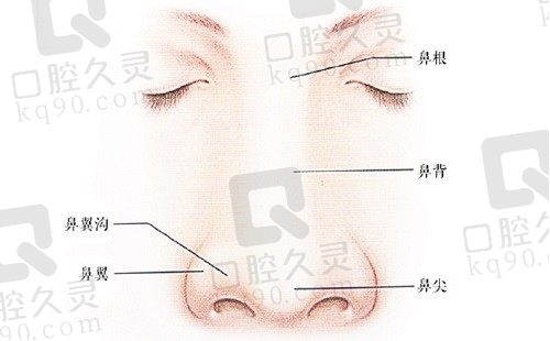 李信锋做鼻子价格表揭晓：半肋鼻综合50000起/鼻整形修复70000起