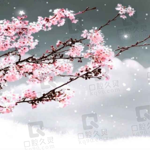 满满雪景