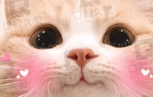 烽火戏诸侯