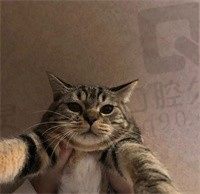 多云