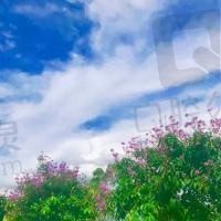 请叫我仙女