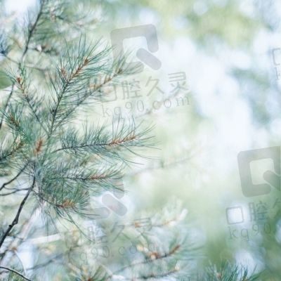 恰恰恰
