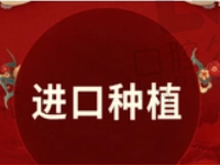 六安雅悦口腔韩国登腾种植牙2574元起，赵郑医生技术很靠谱