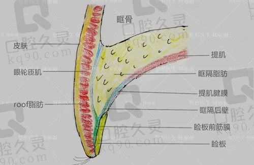 北京师丽丽眼修复成功例子多，从案例看师丽丽双眼皮修复技术好吗