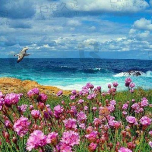 花蜜发