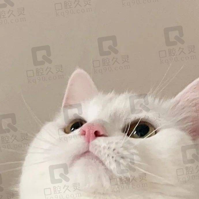 桂花鱼