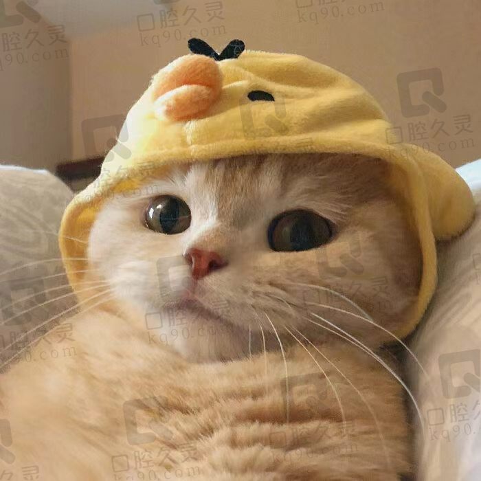 的撒的