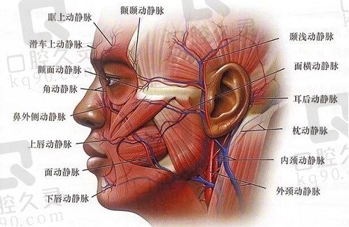 黄寅守在北京哪家医院?坐诊北京加减美,主做V美减龄V9面部提升术