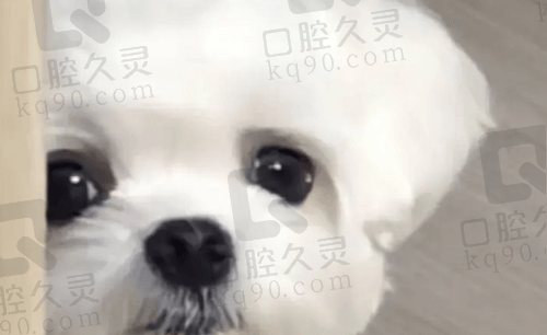 琪琪