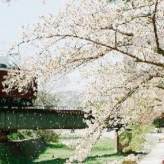 二锅头