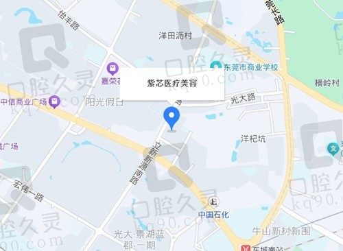 东莞紫芯医疗美容 地址