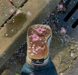 拾春???? ​​