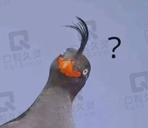管他的