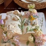 柿柿皆顺