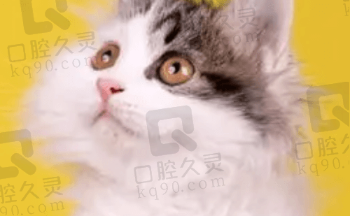 西湖
