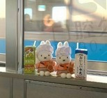 慢慢来