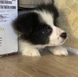 瞬间