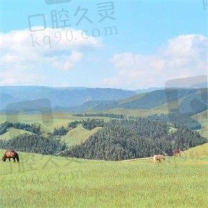 永不言弃