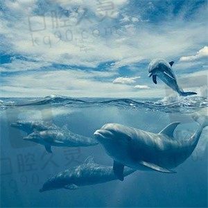 没关系