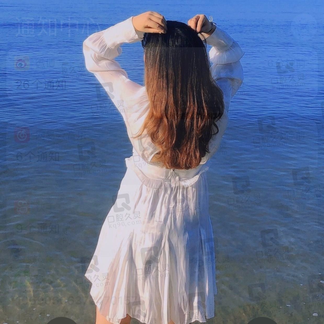 鹅湖日结