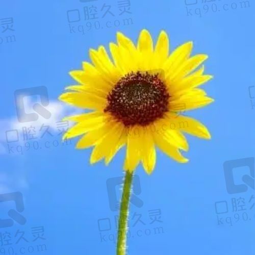 春天