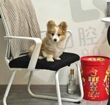 小满即安