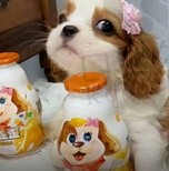东方