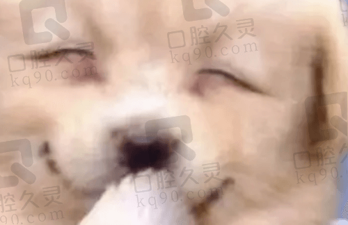 海洋之星