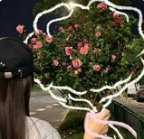 万物都是自由诗