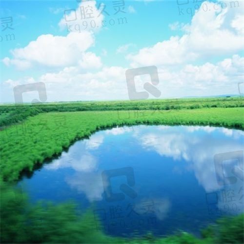 尼斯湖水怪