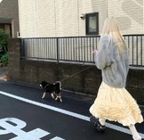 绣球花