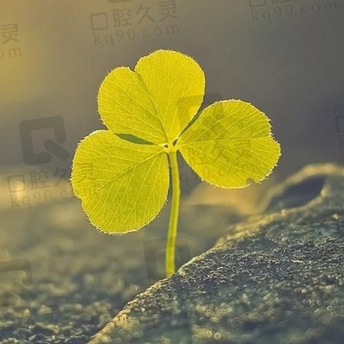 变更变更